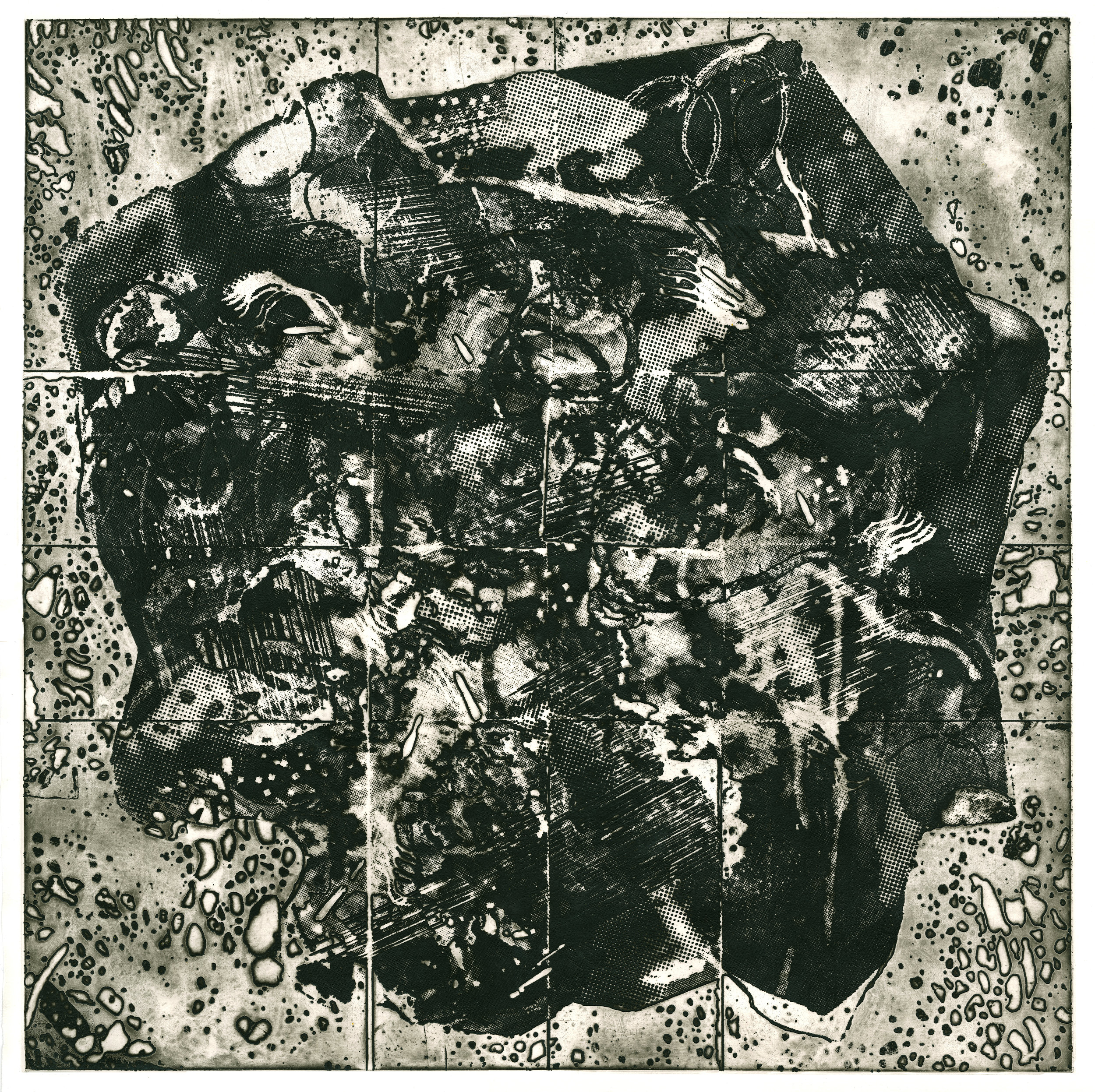 Collapse, 2018